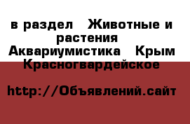  в раздел : Животные и растения » Аквариумистика . Крым,Красногвардейское